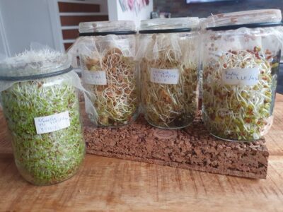 kiemgroenten-superfood-variatie