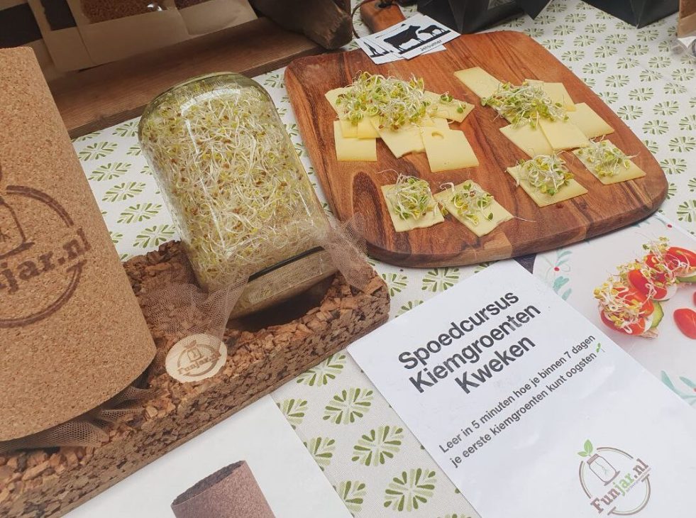 spoedcursus-kiemgroenten-kweken